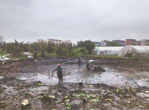 安阳河道鱼塘清淤